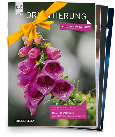 Orientierung Großdruck-EDITION Geschenk-Abo