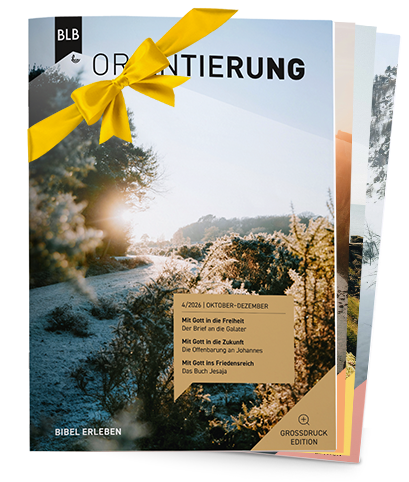 Orientierung Großdruck-EDITION Geschenk-Abo