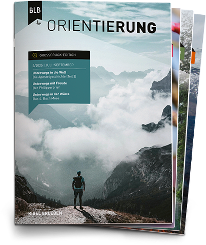 Orientierung Großdruck-EDITION Abo