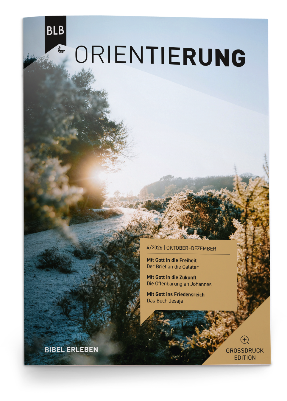 Orientierung Großdruck-EDITION 4/2026 Einzelheft