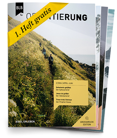 Orientierung Großdruck-EDITION Abo auf Probe