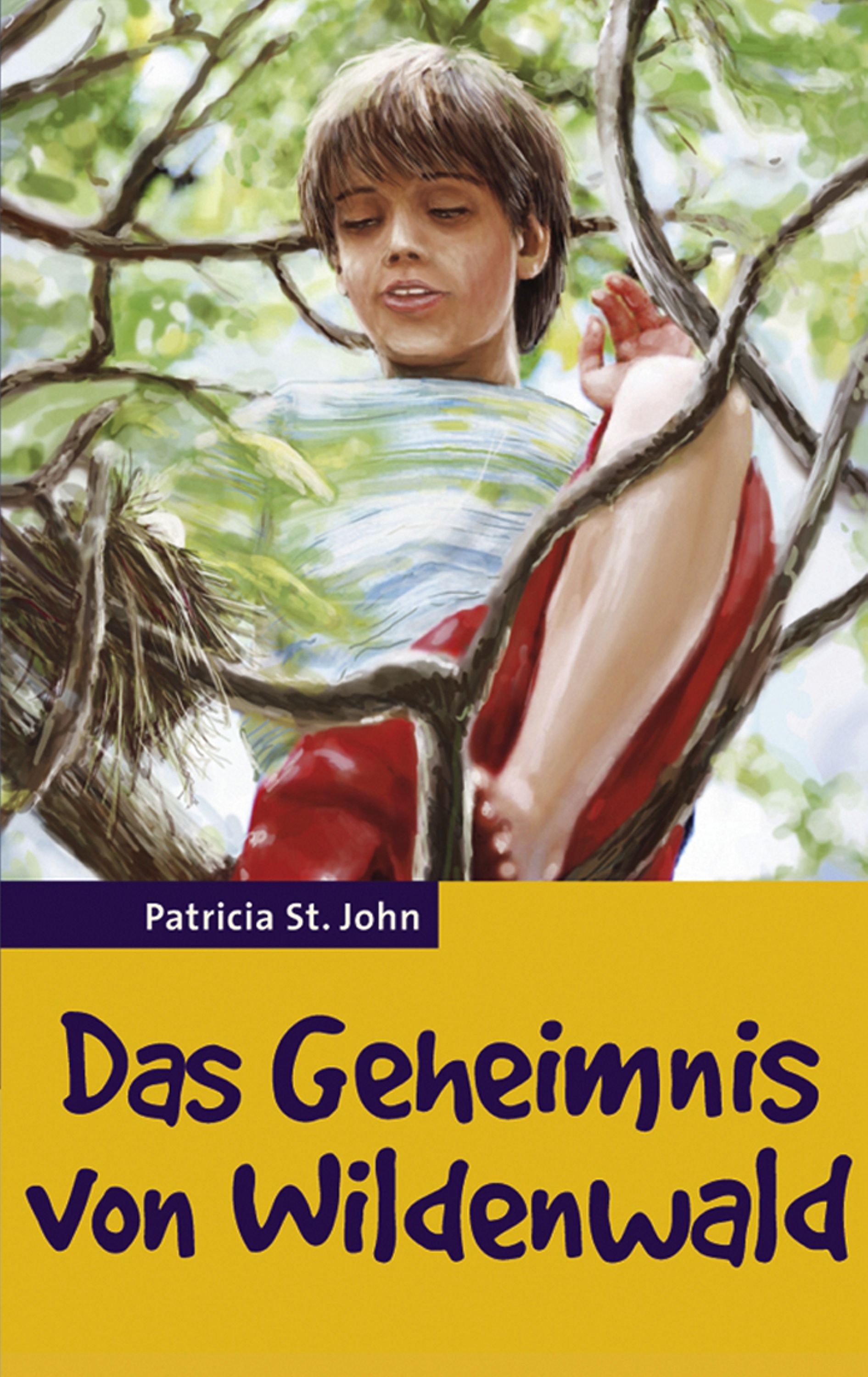 Das Geheimnis von Wildenwald - Ebook
