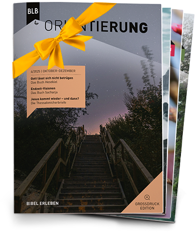 Orientierung Großdruck-EDITION Geschenk-Abo