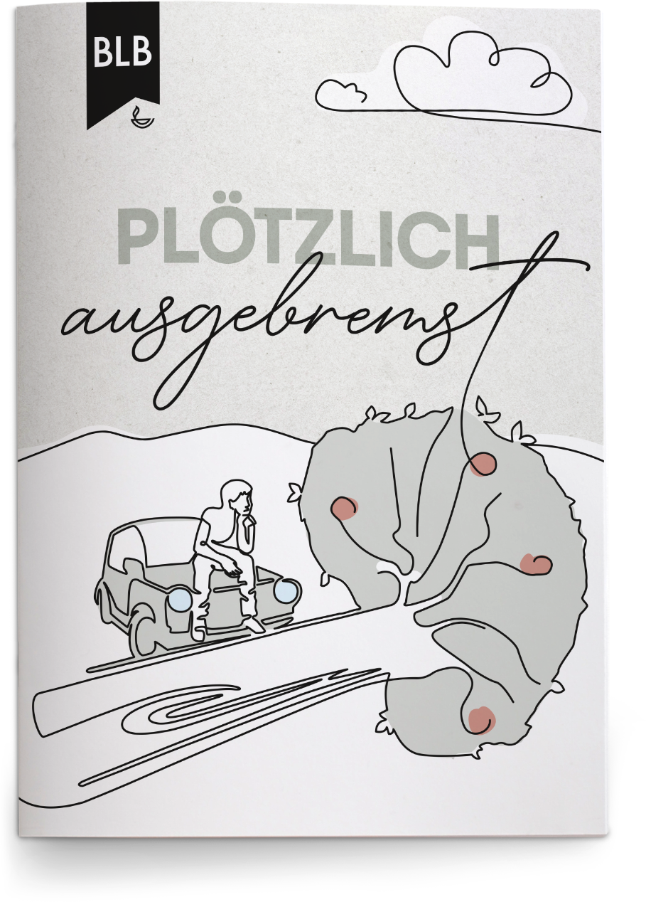 Plötzlich ausgebremst Plötzlich ausgebremst