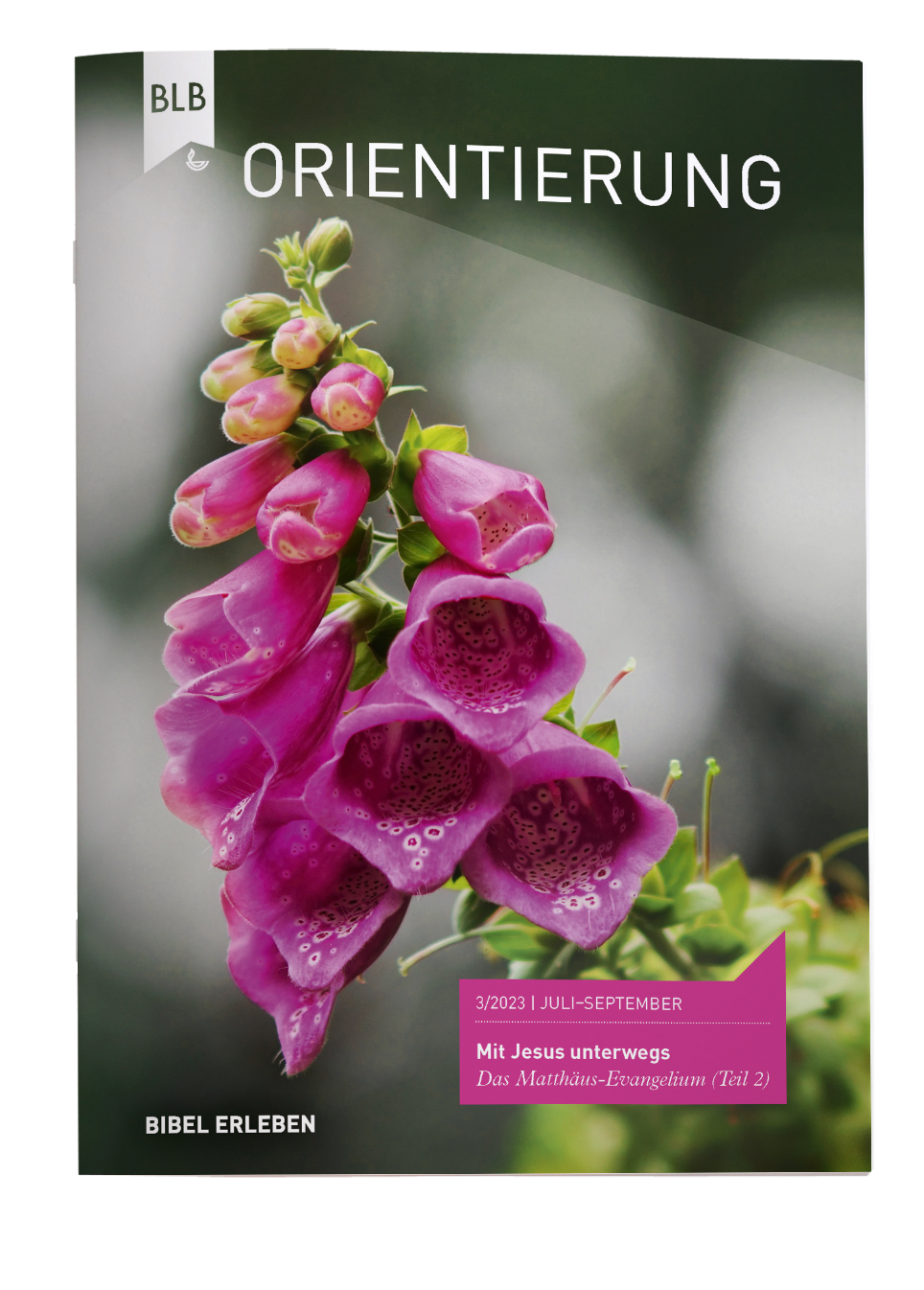 Orientierung 3/2023 Einzelheft