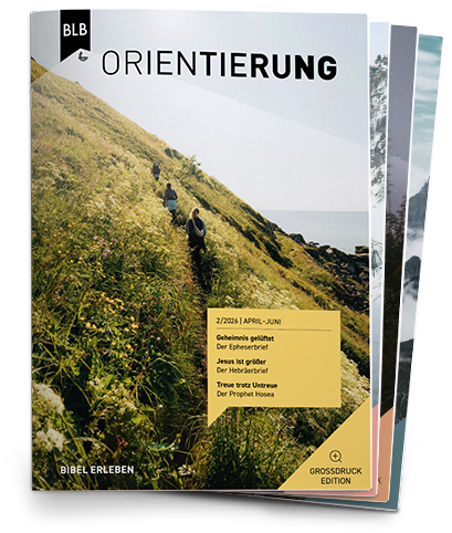Orientierung Großdruck-EDITION Abo