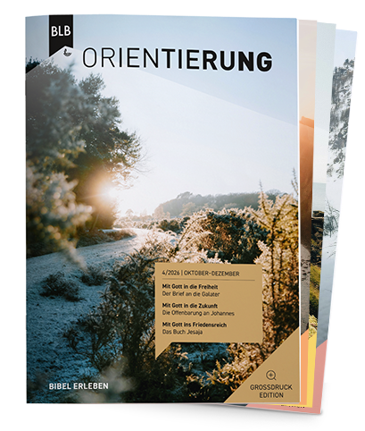 Orientierung Großdruck-EDITION Abo