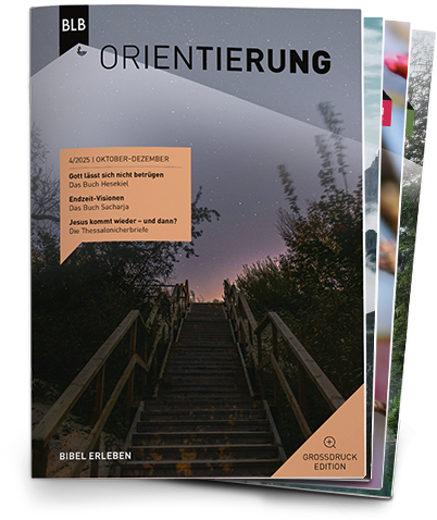 Orientierung Großdruck-EDITION Abo