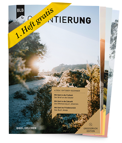 Orientierung Großdruck-EDITION Abo auf Probe