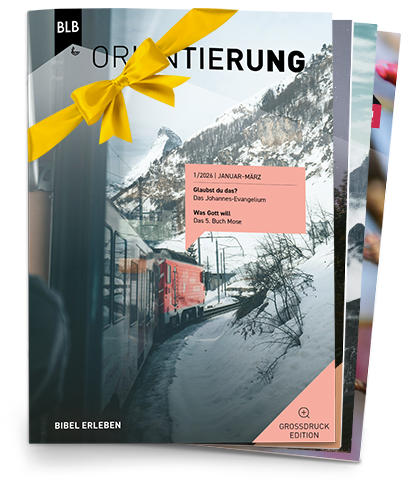 Orientierung Großdruck-EDITION Geschenk-Abo Orientierung Großdruck-EDITION Geschenk-Abo