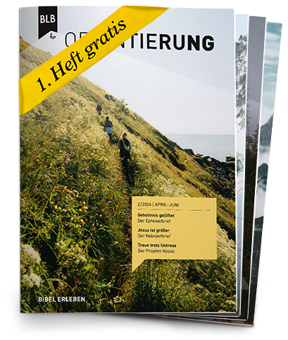 Orientierung Abo auf Probe